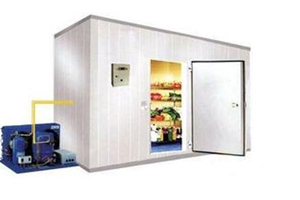 Controlled Atmosphere cold storage fruit and veg cold room design custom.